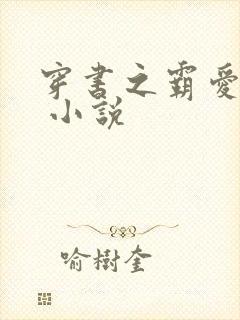 穿书之霸爱反派 小说