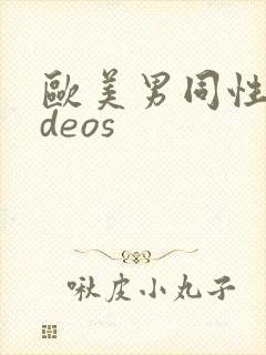 欧美男同性videos