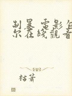 制暴 电影包贝尔在线观看国语封面