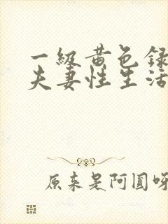 一级黄色录像片夫妻性生活