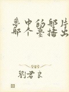 梦中的那片海在哪个台播出封面