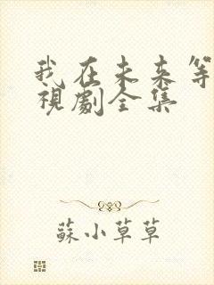 我在未来等你电视剧全集