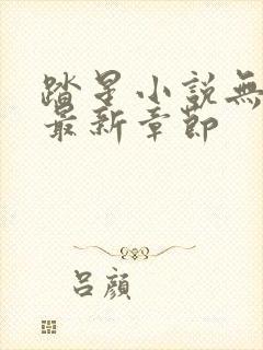 踏星小说无弹窗最新章节