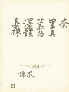 长泽茉里奈aⅴ裸体写真