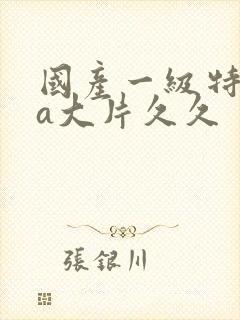 国产一级特黄aa大片久久