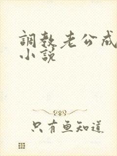 调教老公成绿奴小说封面