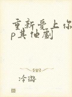 重新爱上你副cp其他剧