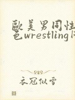 欧美男同性恋黄色wrestling网站