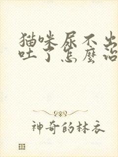 猫咪尿不出来还吐了怎么治