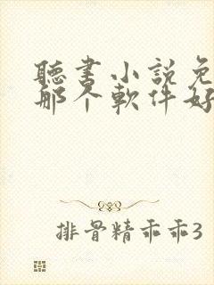 听书小说免费听那个软件好