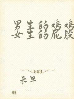 男生的鸡鸡插进女生的屁股