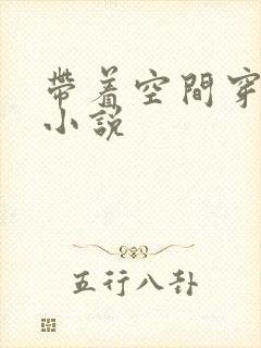 带着空间穿越的小说封面