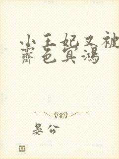 小王妃又被揍啦霁色冥鸿封面