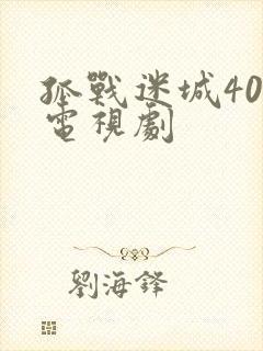 孤战迷城40集电视剧