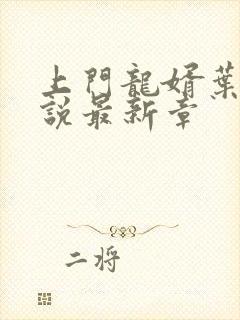 上门龙婿叶辰小说最新章