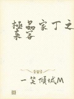 极品家丁之远方来客