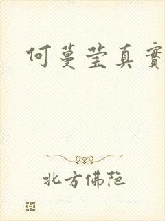 何蔓莹真实长相