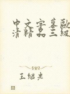 中文字幕欧美高清精品三级