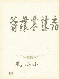 父母爱情之再续前缘全集70集
