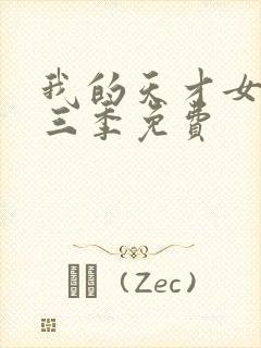 我的天才女友第三季免费