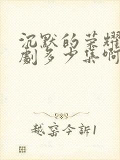 沉默的荣耀电视剧多少集啊