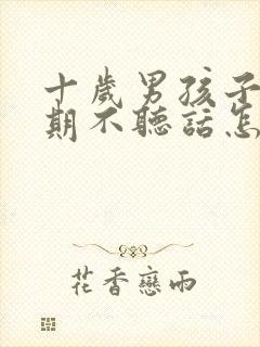 十岁男孩子叛逆期不听话怎么办封面