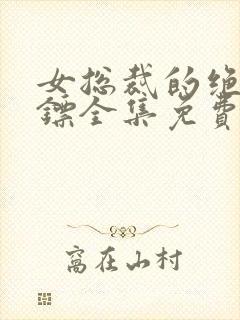 女总裁的绝世保镖全集免费播放封面