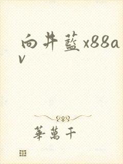 向井蓝x88av