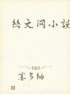 丝文网小说封面