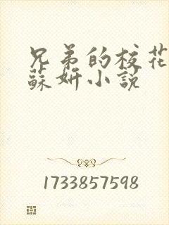 兄弟的校花女友苏妍小说