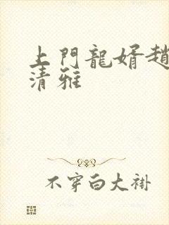 上门龙婿赵磊林清雅