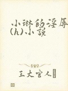 小琳的淫辱日记(h)小说