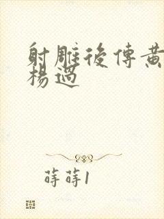 射雕后传黄蓉与杨过