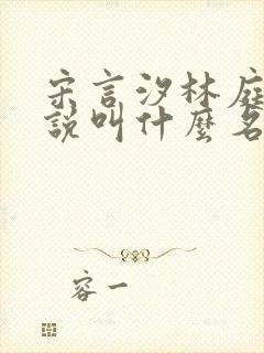 宋言汐林庭风小说叫什么名字