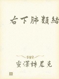 右下肺类结节影