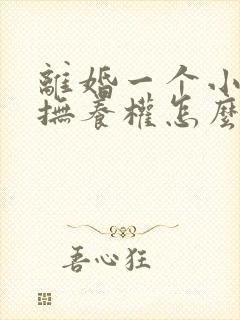 离婚一个小孩子抚养权怎么判定