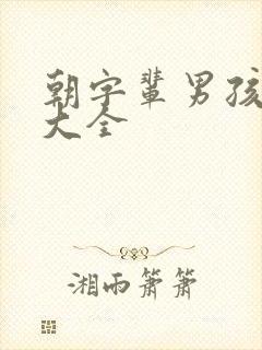 朝字辈男孩取名大全