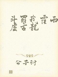 斗罗我霍雨浩太虚古龙