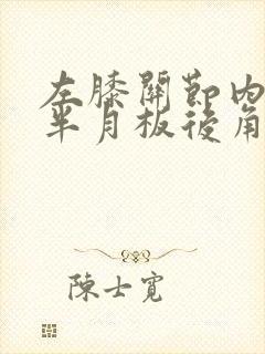 左膝关节内外侧半月板后角撕裂封面