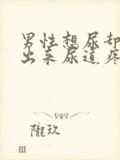 男性想尿却尿不出来尿道疼痛