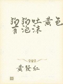 狗狗吐黄色黄水有泡沫