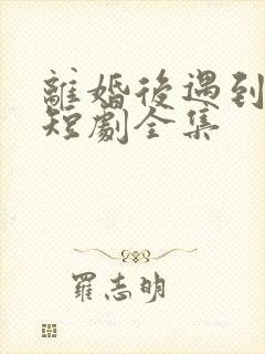 离婚后遇到前妻短剧全集封面