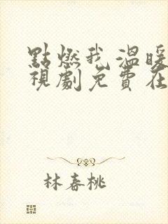 点燃我温暖你电视剧免费在线观看全集