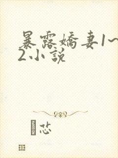 暴露娇妻1~12小说封面