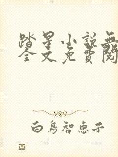 踏星小说无弹窗全文免费阅读