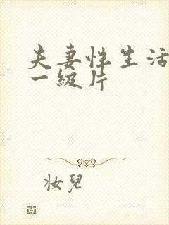 夫妻性生活黄色一级片