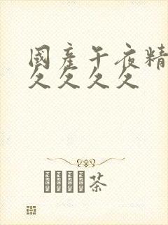 国产午夜精品久久久久久