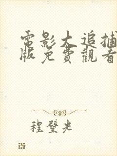 电影大追捕国语版免费观看