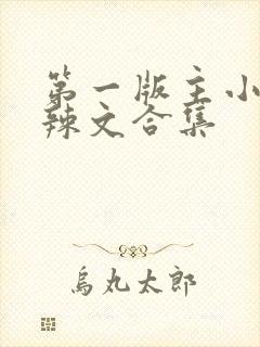 第一版主小说网辣文合集