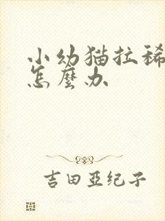 小幼猫拉稀带血怎么办